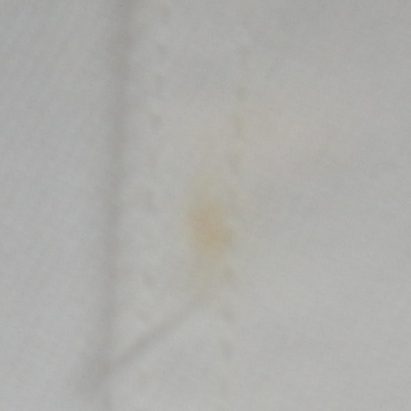 everlane women wide leg crop pants sz 2 white - Picture 3 of 5